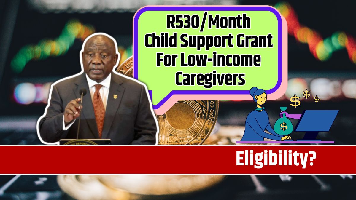 R530/Month Child Support Grant For Low-income Caregivers