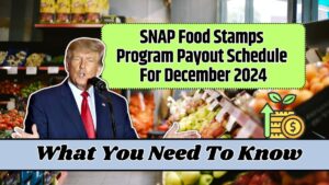 SNAP Food Stamps Program Payout Schedule For December 2024