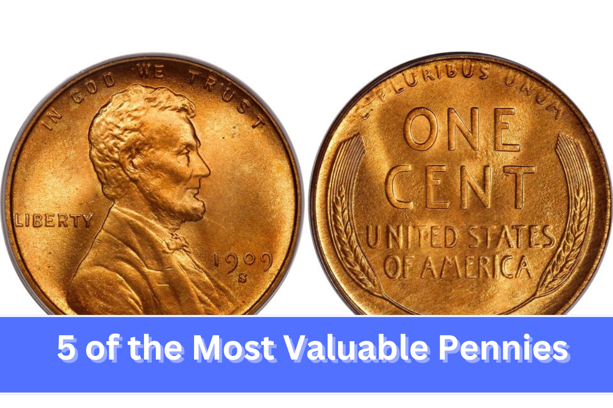 5 of the Most Valuable Pennies