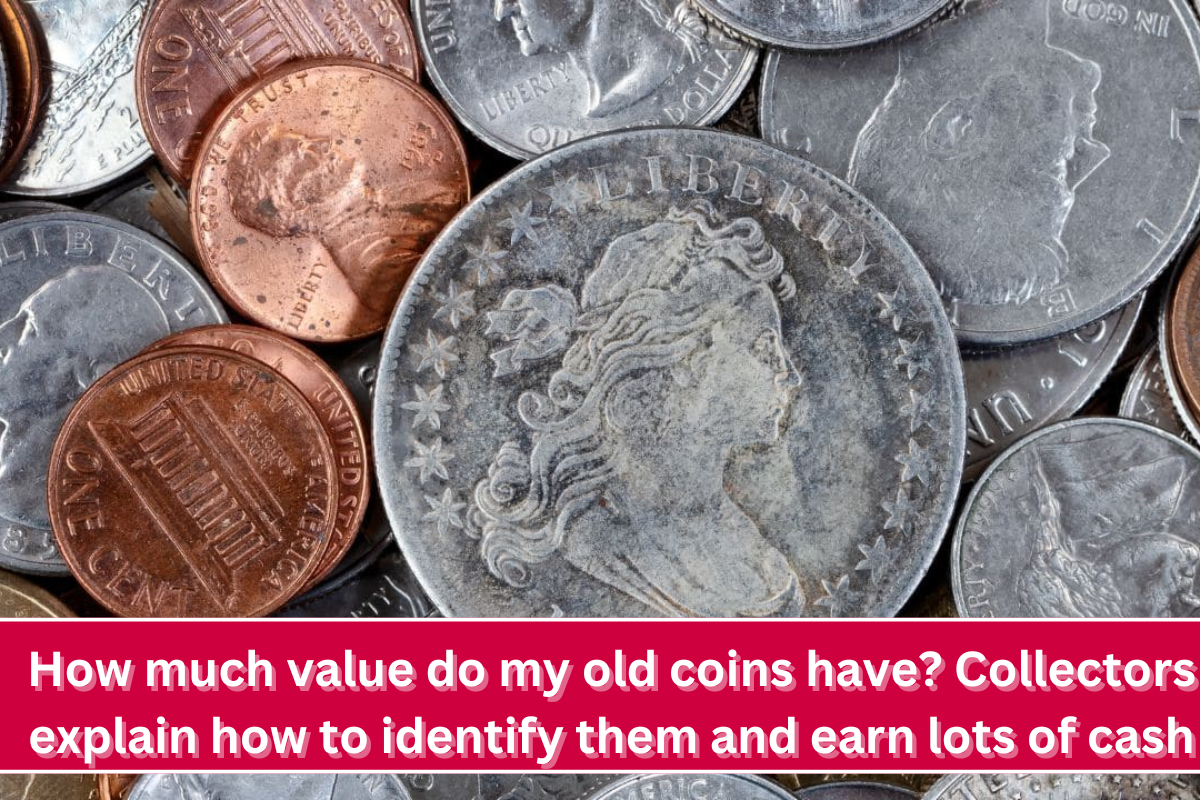 How much value do my old coins have Collectors explain how to identify them and earn lots of cash